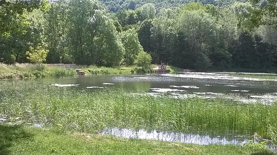 Vallon de Bellefontaine à Champigneulles - Agrandir l'image, .JPG 2 Mo (fenêtre modale)