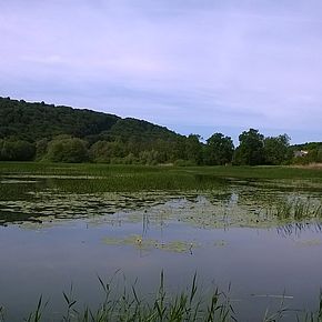 Vallon de Bellefontaine à Champigneulles