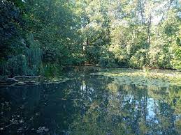 Etang de la Gargouillotte à Marbache - Agrandir l'image, .JPG 13 Ko (fenêtre modale)